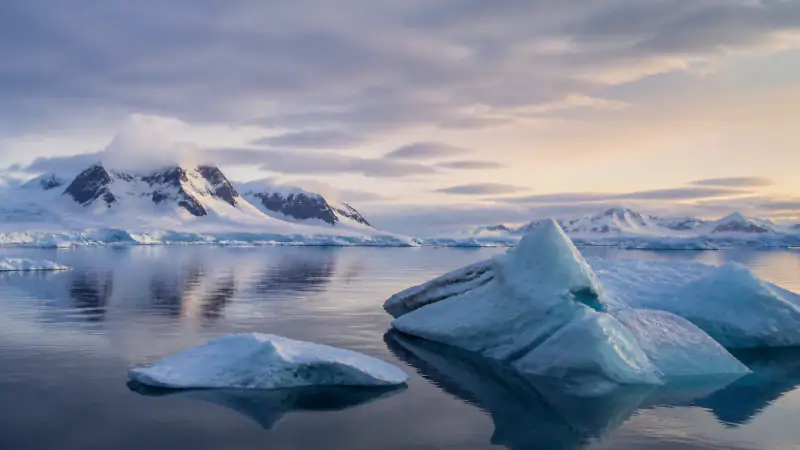Representative Antarctica cruise destination artwork