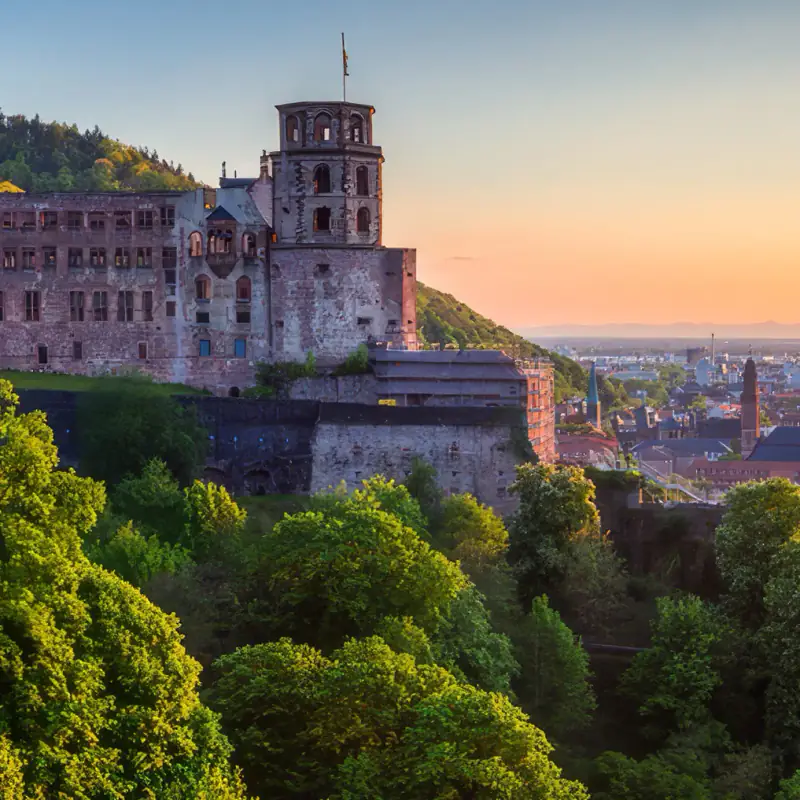 A stone castle sits on a wooded hill above a Rhine riverside town.