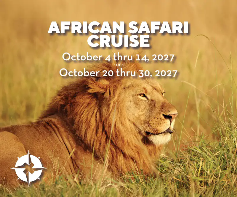 A lion rests in tall golden grass in OUTbound's African Safari Cruise artwork.