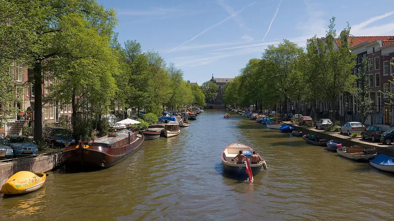 Amsterdam canal lined with narrow historic houses and trees