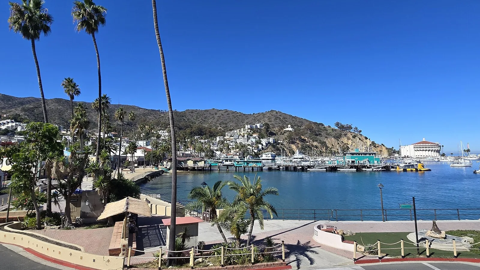 Avalon Harbor, hillside homes, palms, and Catalina Casino