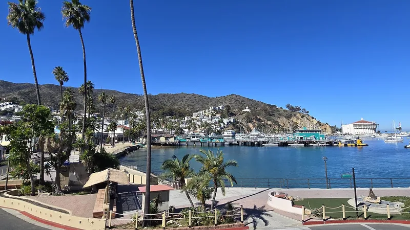 Avalon Harbor, hillside homes, palms, and Catalina Casino