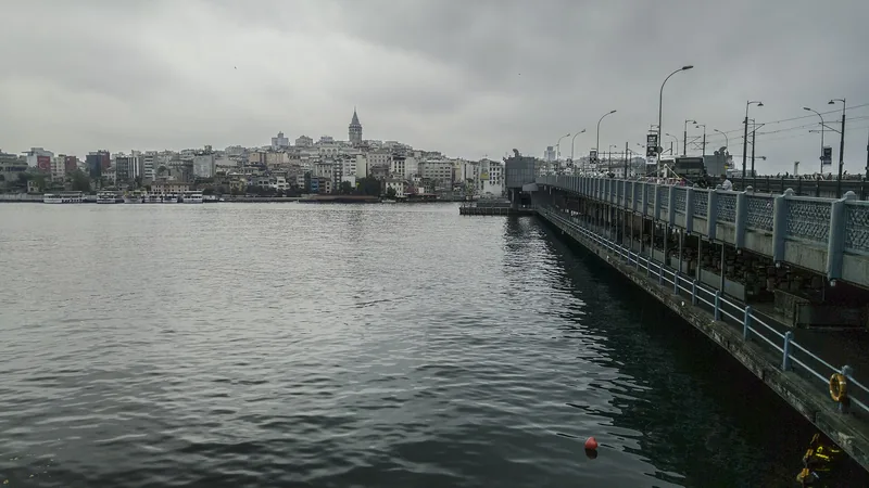Galata Tower rising above the historic Istanbul skyline