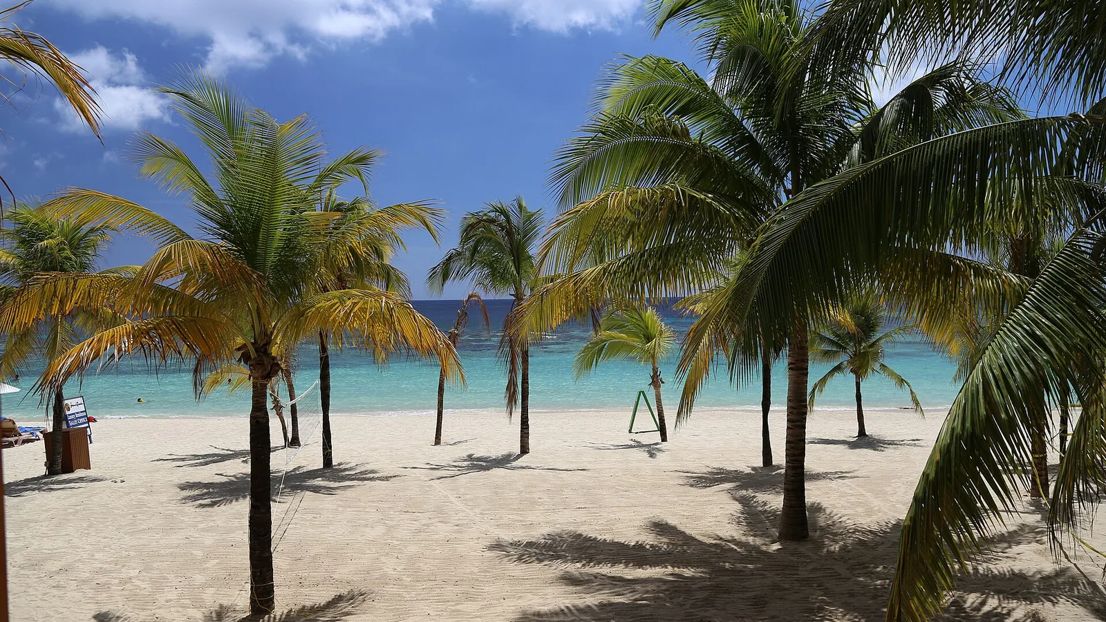 White sand, palm trees, and turquoise water on Roatán