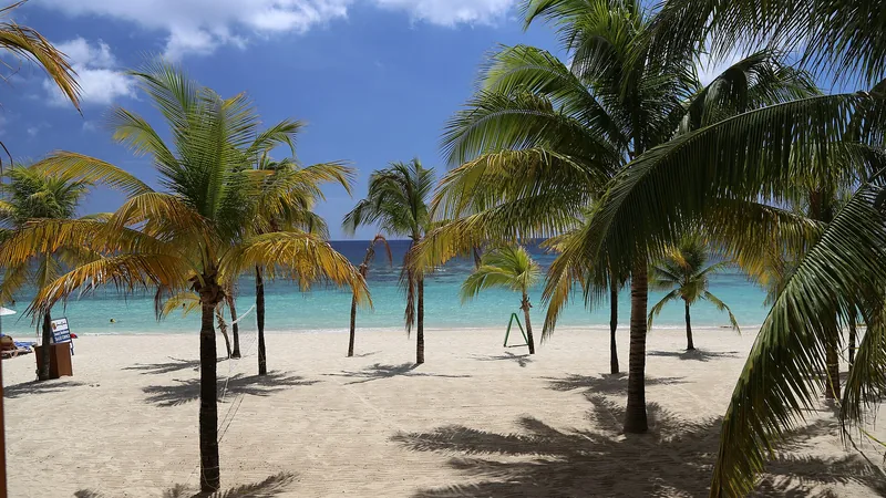 White sand, palm trees, and turquoise water on Roatán