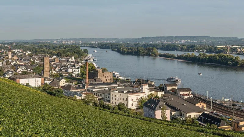 Rüdesheim, vineyard slopes, and the Rhine in a wide panorama