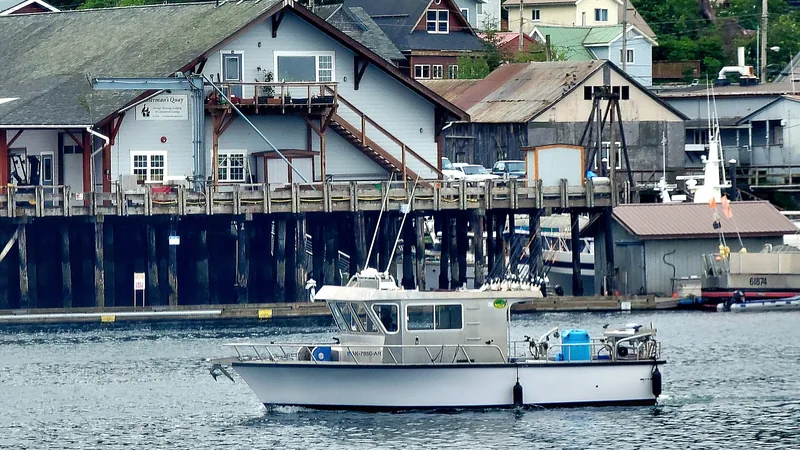 Sitka waterfront, harbor, islands, and forested mountains