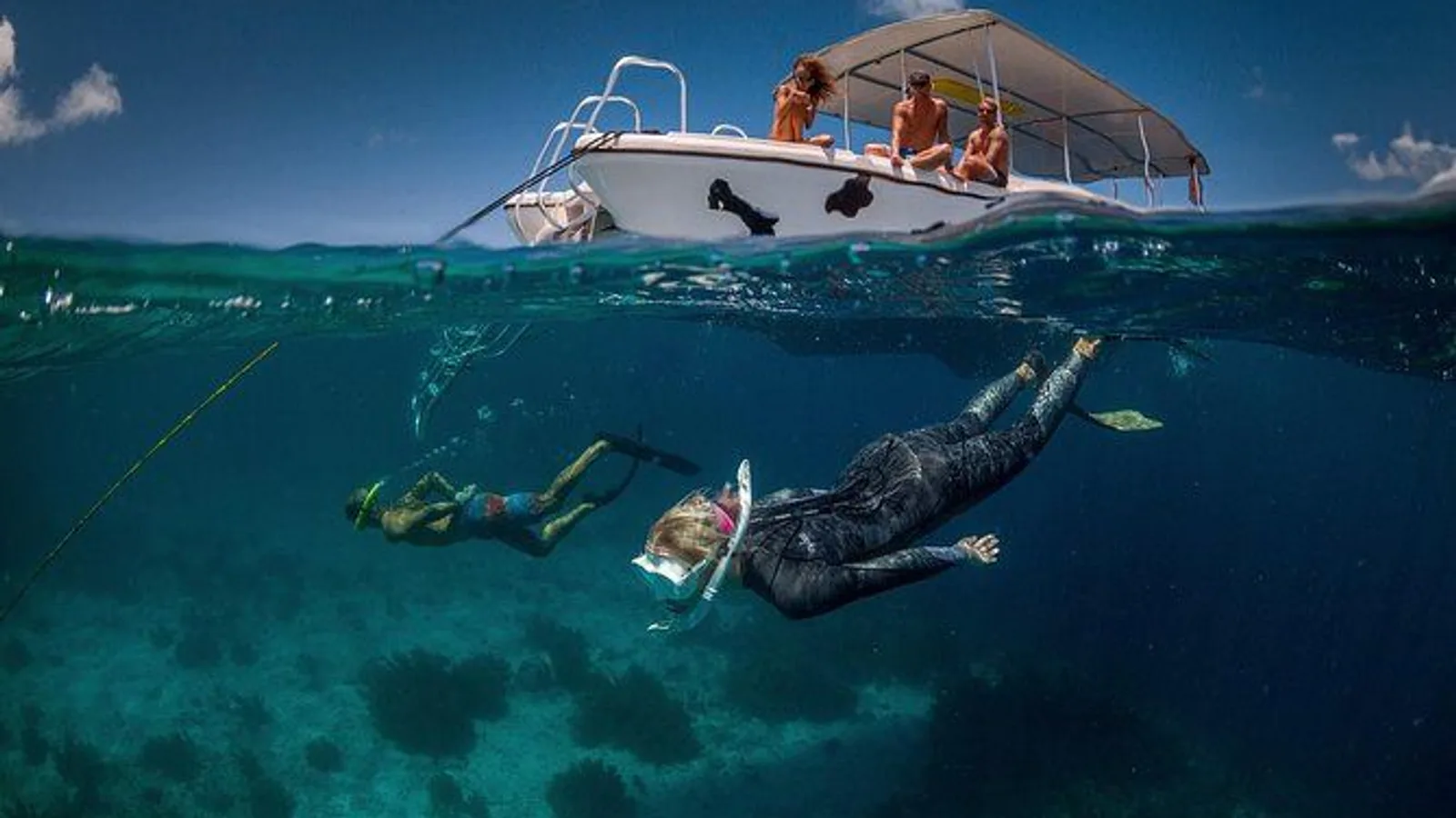 Double Dip Snorkel Trip excursion