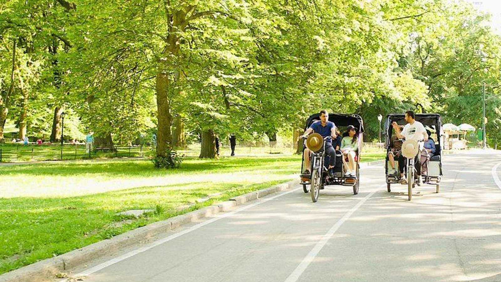 Central Park Private Pedicab Tour excursion