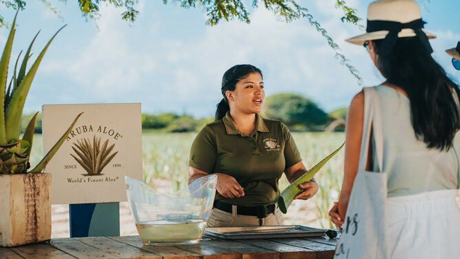 Half-Day Aruba Island Tour from Oranjestad excursion