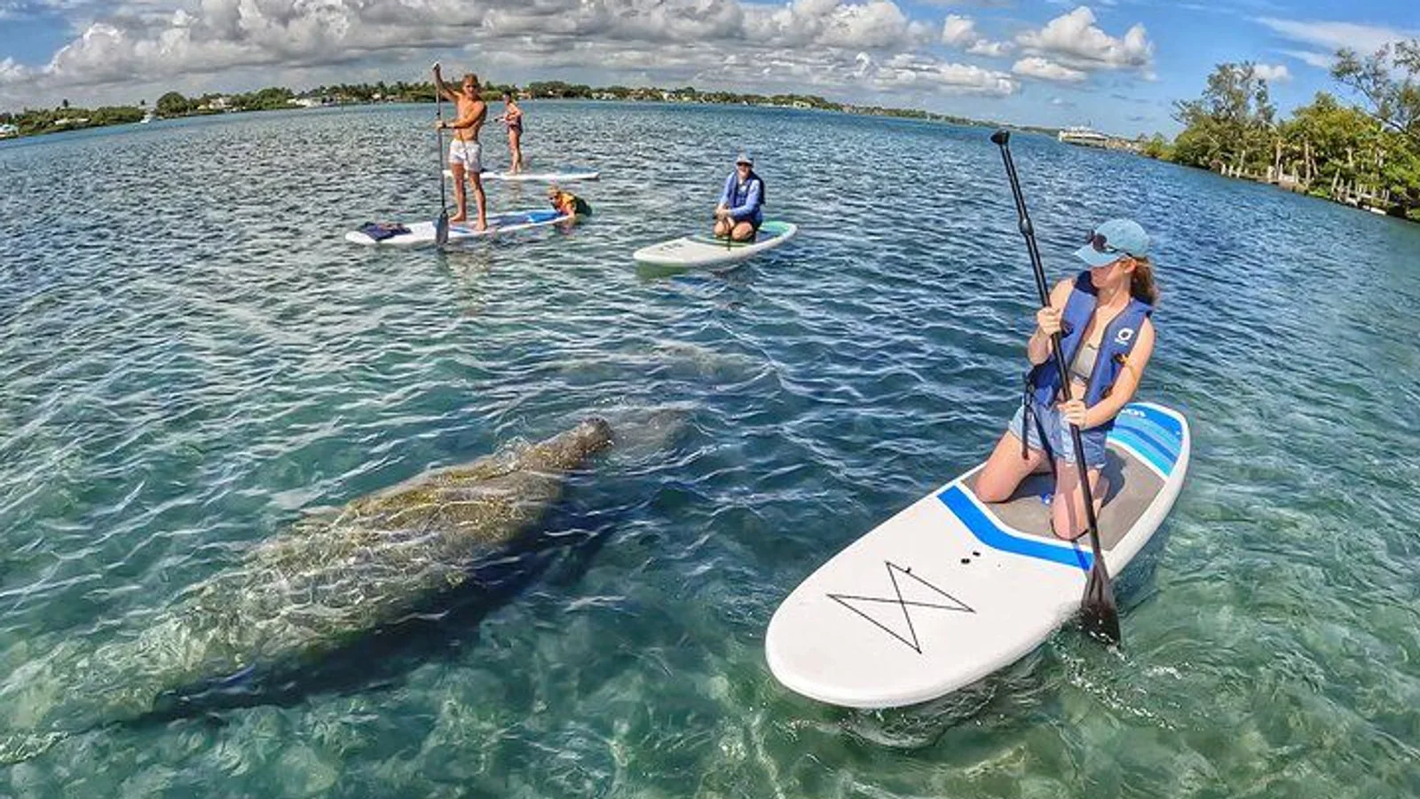 Paddle Boarding Eco Adventure Tour Jupiter Florida - Singer Island excursion
