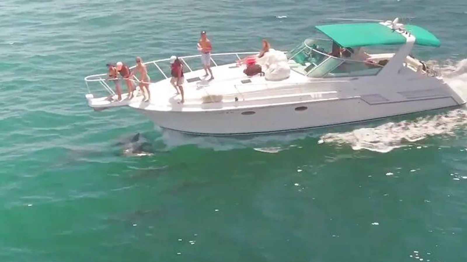 Private Long Beach Yacht Birthday Cruise for Up to Six excursion