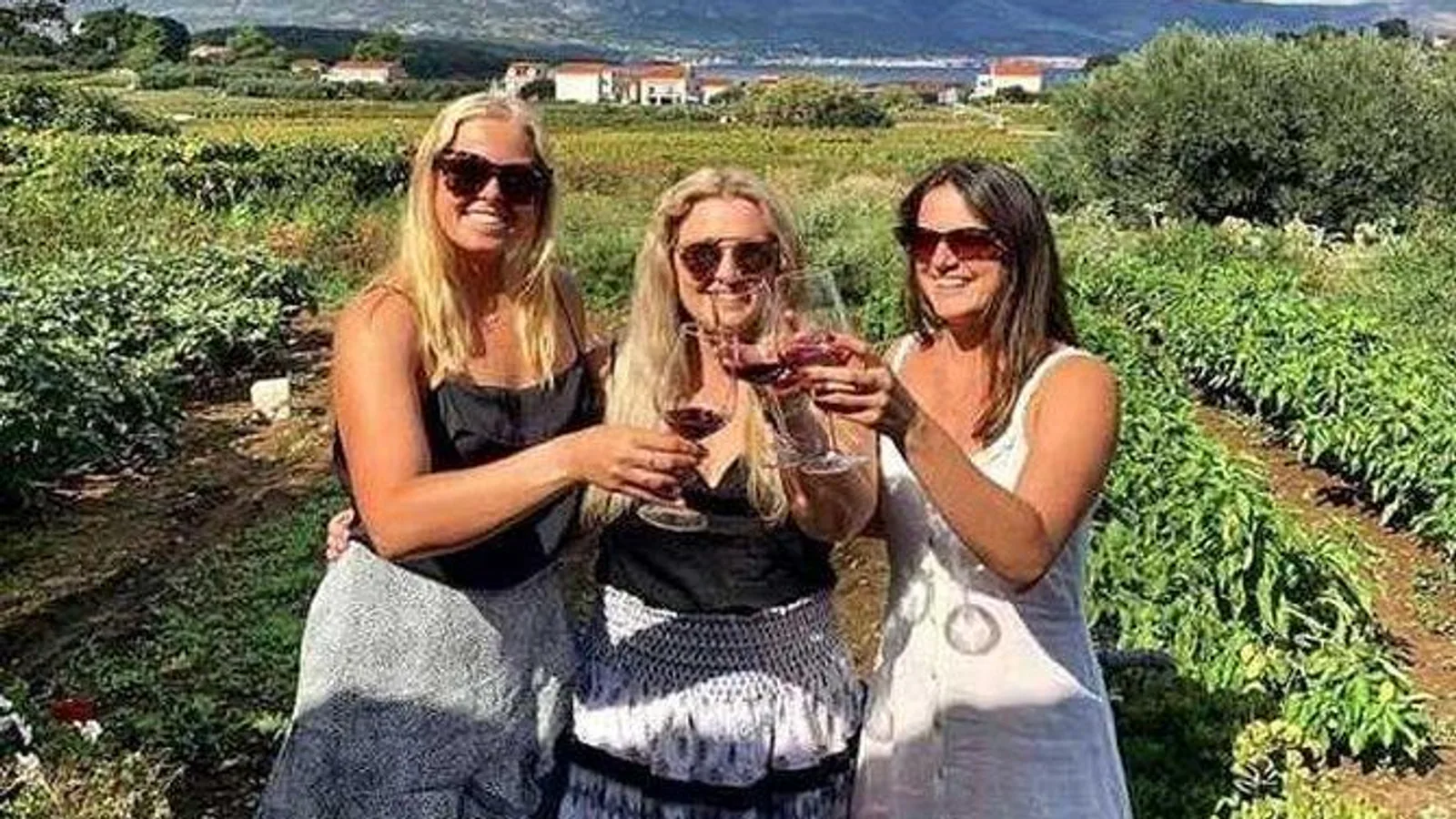 Private Korčula Wine Tour excursion