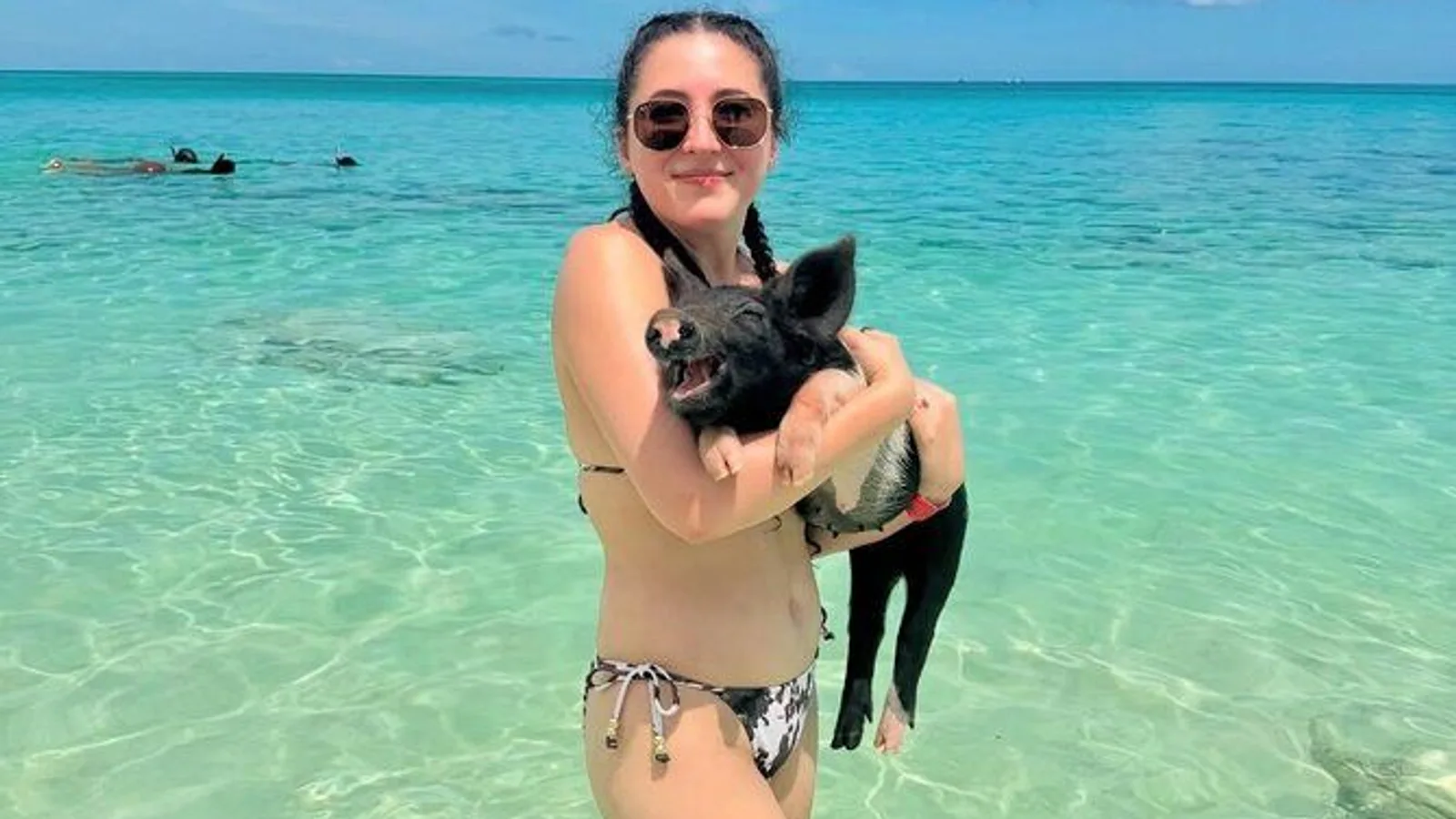 Nassau Swimming Pigs and Private Beach Club Escape excursion