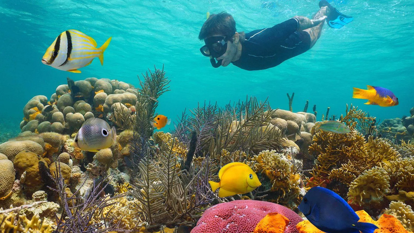 Key West Reef Morning Snorkeling with Breakfast and Mimosas excursion