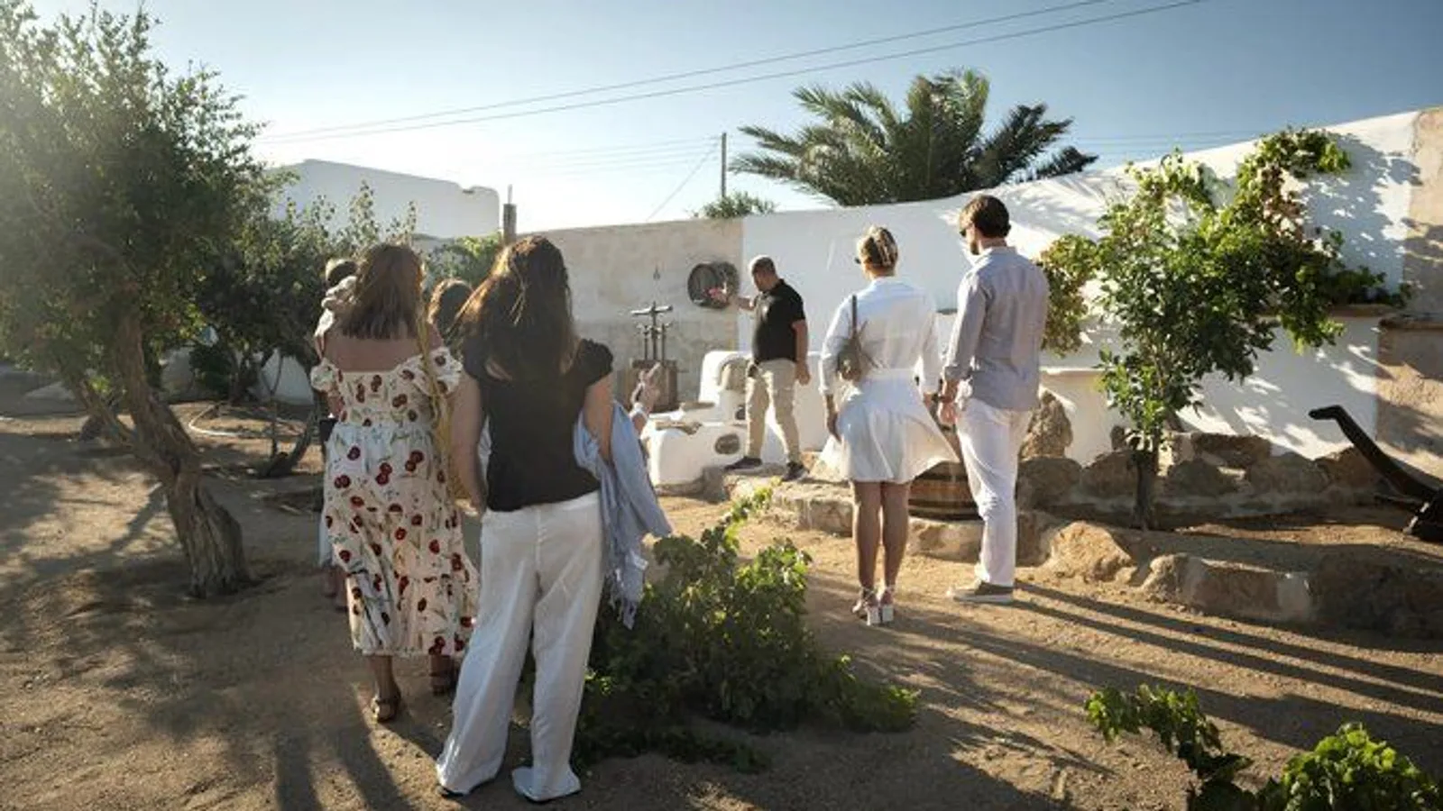 Tour and Wine Tasting in Mykonian Land excursion