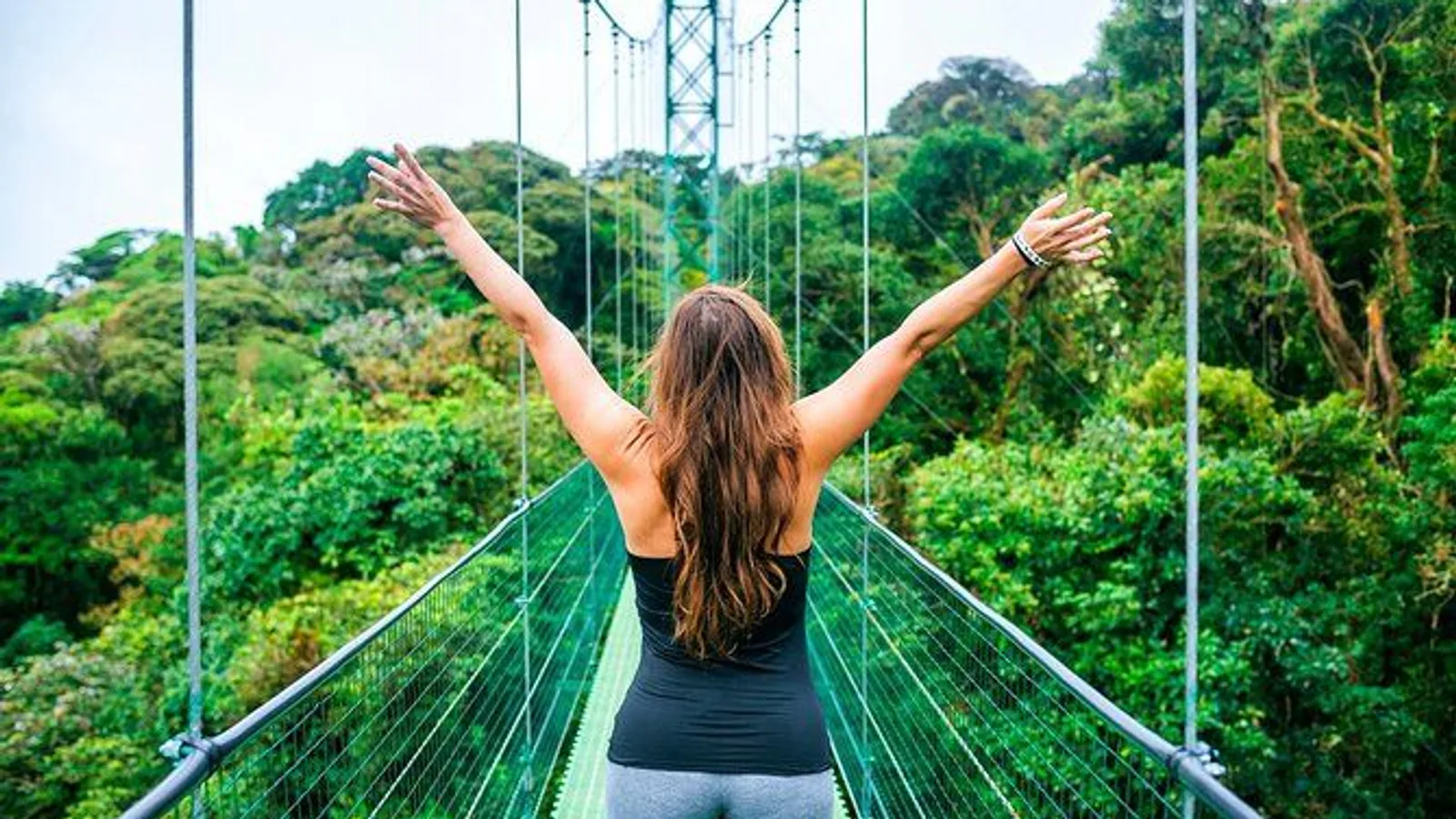 Rainforest Skywalk and Tárcoles River Eco-Cruise excursion