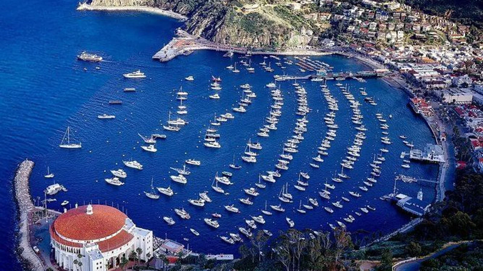 Catalina Island Private Guided Golf Cart Tour of Avalon excursion