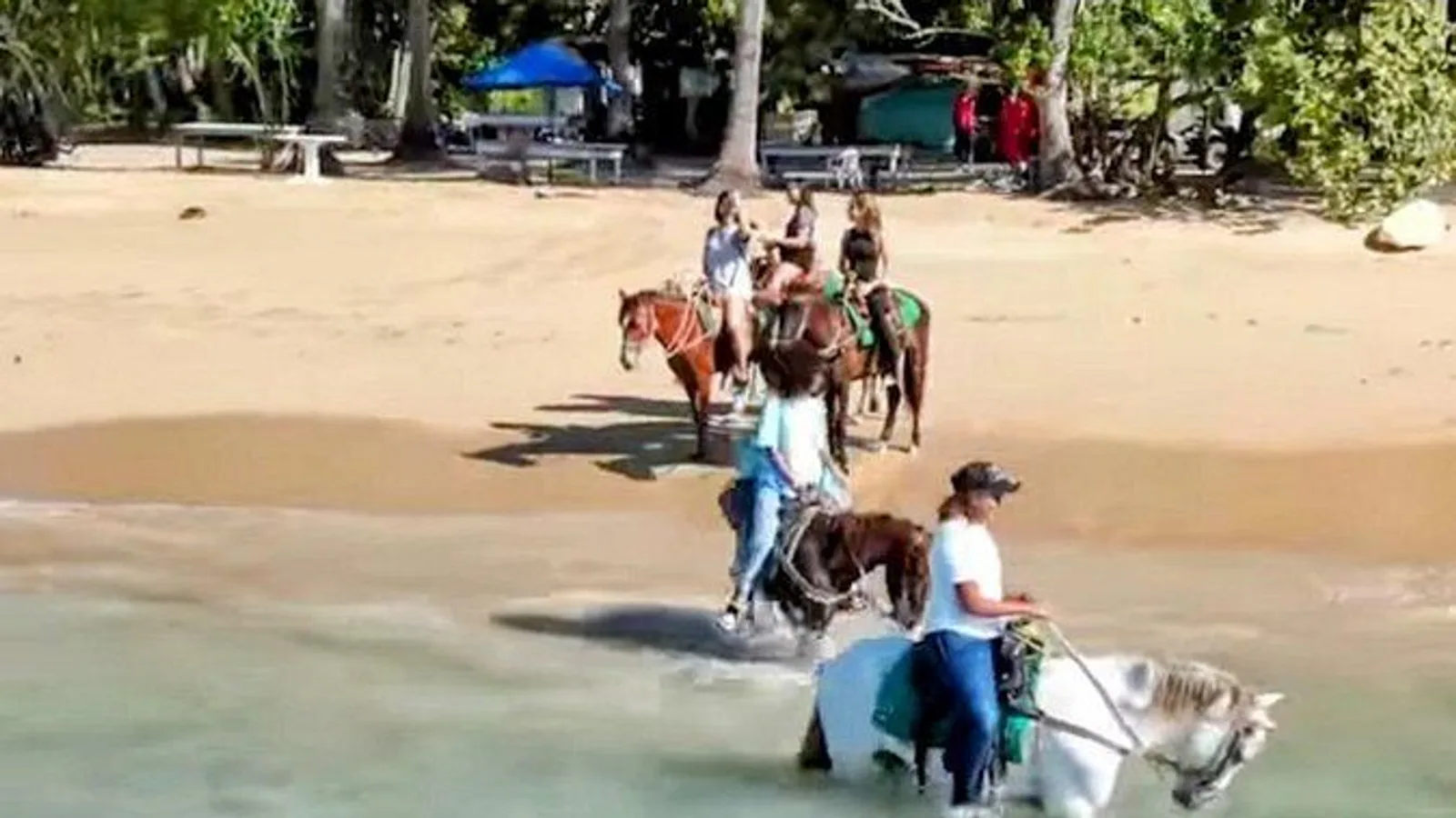 Puerto Plata City Tour and Horseback Riding excursion