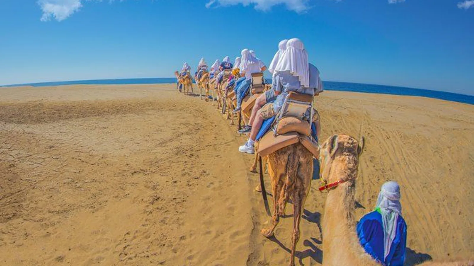 Cabo Beach Camel Ride, Mexican Buffet and Tequila Tasting excursion