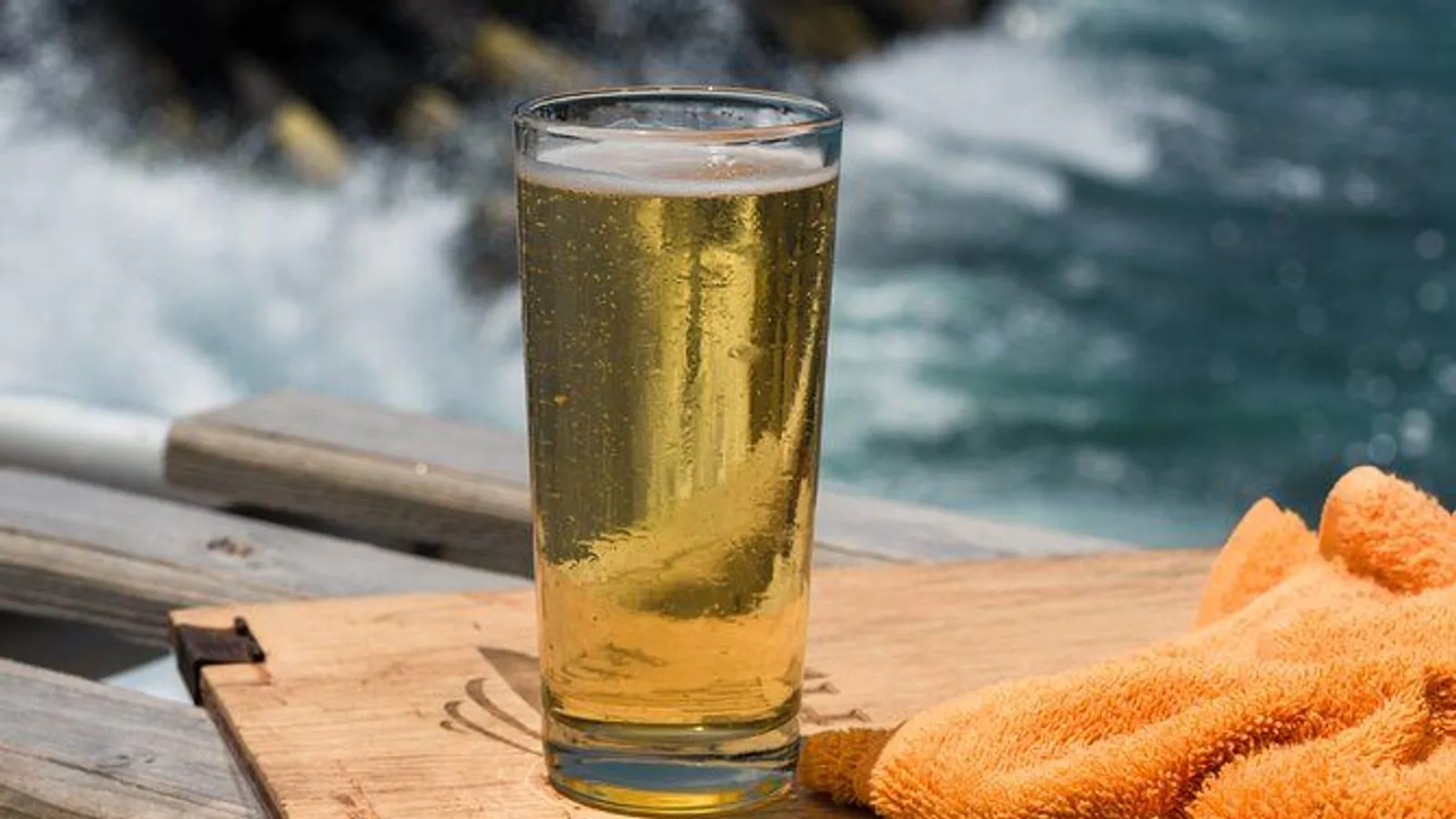 Tacos, Brews and Views Tour excursion