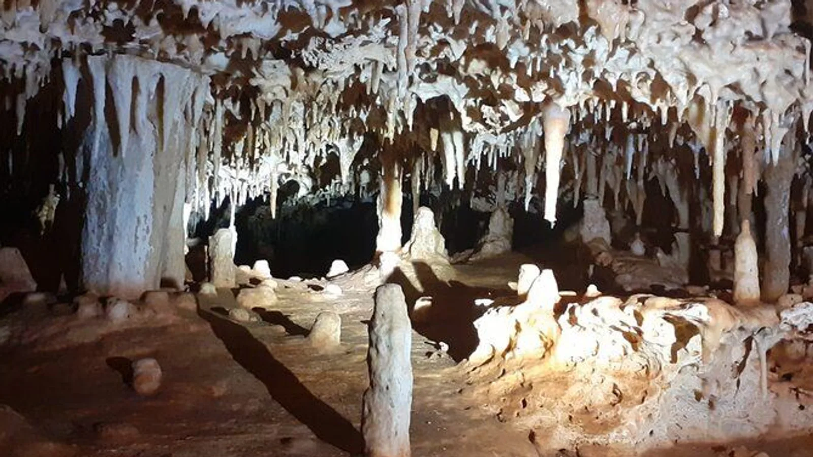 Bonaire Cave Tour: Walk, Climb and Swim excursion