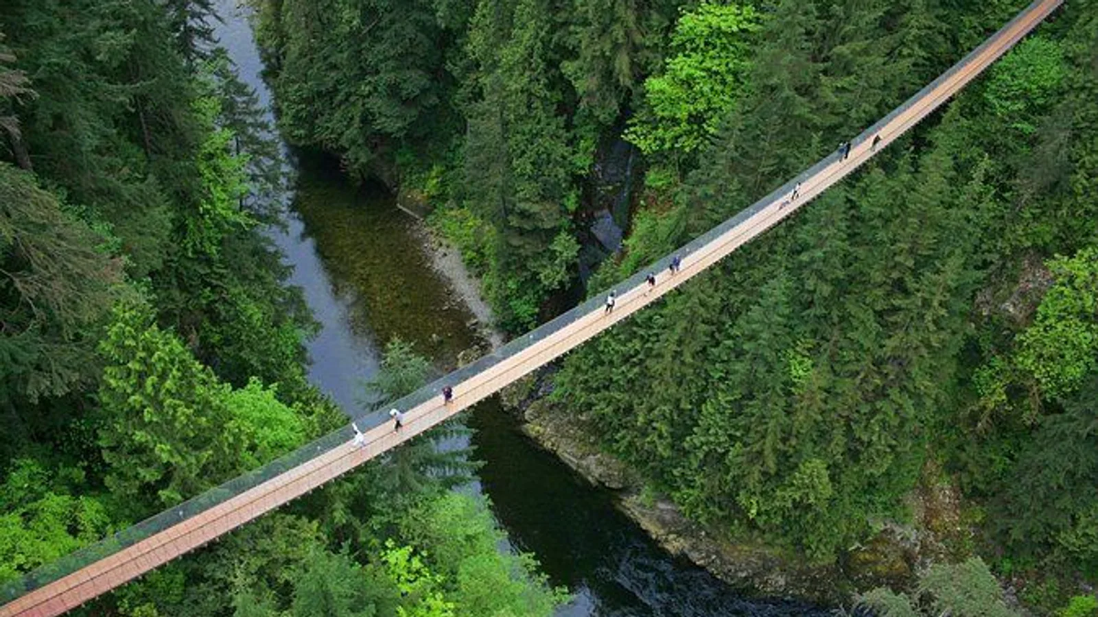 Vancouver City Sightseeing Tour: Capilano Suspension Bridge & Vancouver Lookout excursion