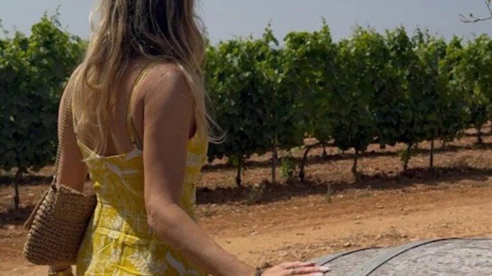 Wonders and Wines of Mallorca Private Experience excursion