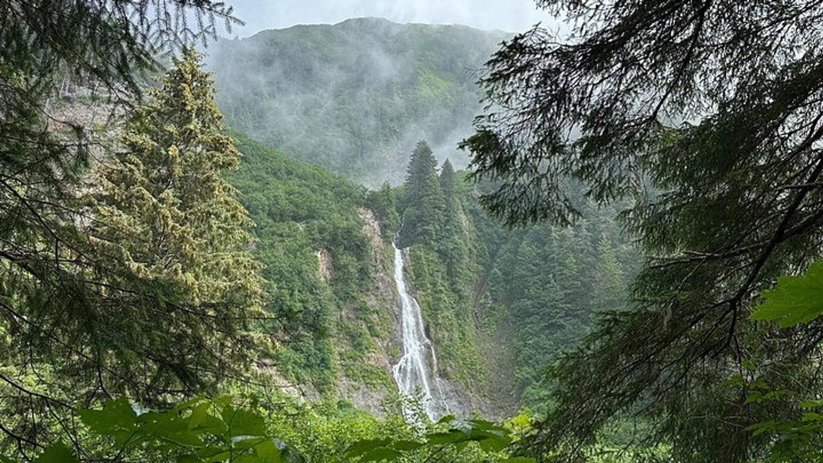 Guided Hike in Sitka, Alaska excursion