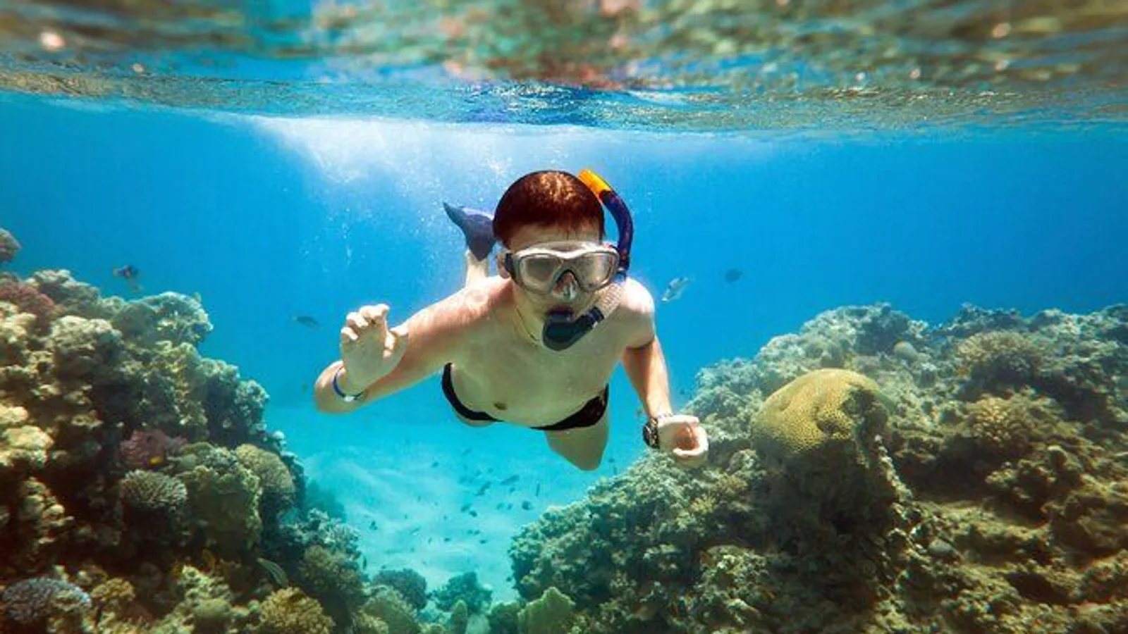 Acapulco Snorkeling and La Roqueta Tour excursion