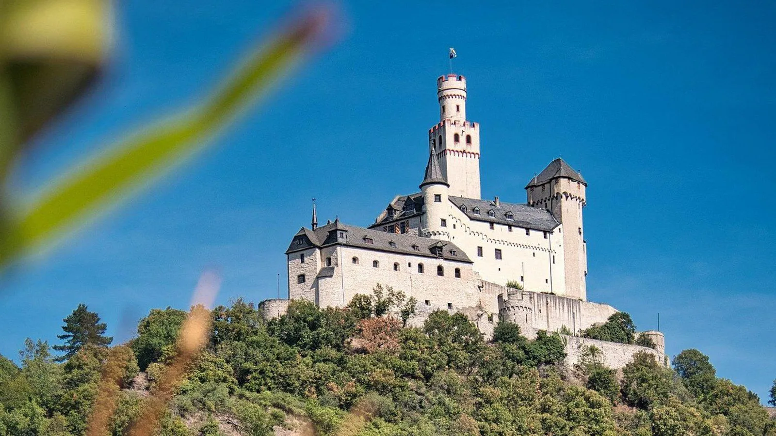 2 hours sightseeing cruise around Koblenz excursion