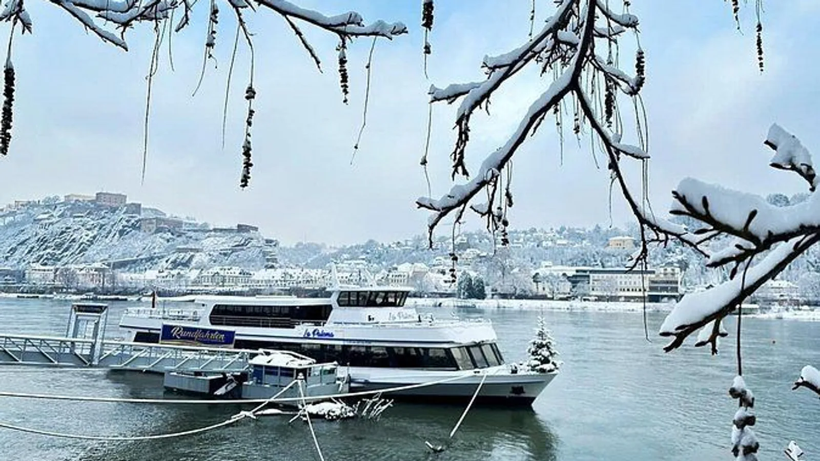 1 hour Christmas cruise with mulled wine around Koblenz excursion