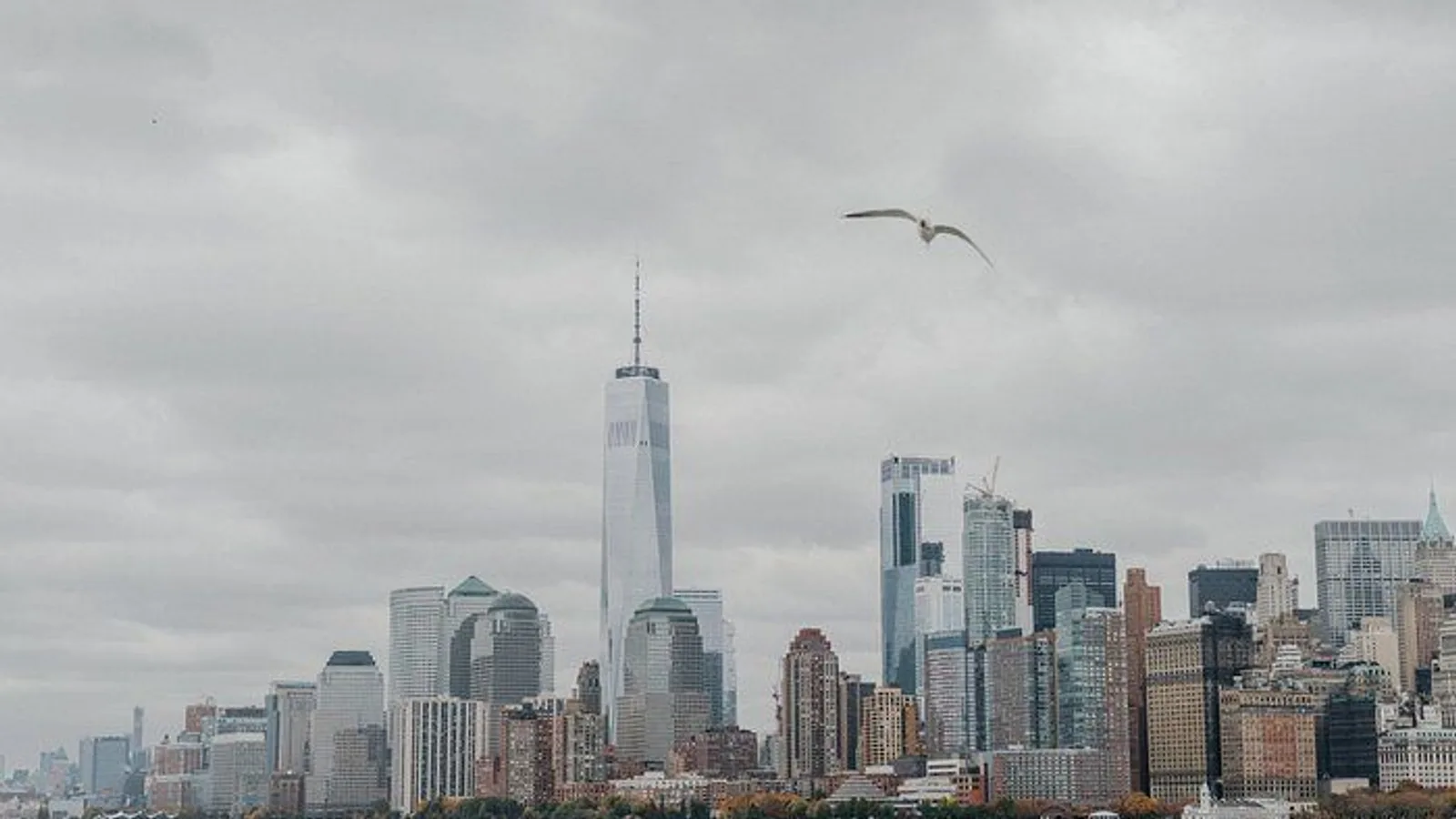 Statue of Liberty & Ellis Island Tour with Reserved Ferry Entry excursion