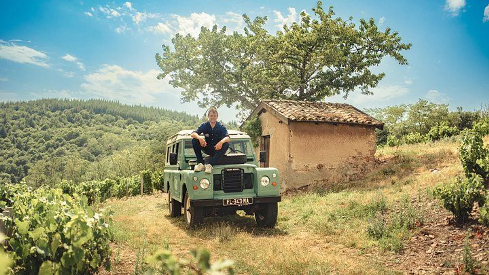 Private Half Day Wine Tour from Lyon in Beaujolais excursion