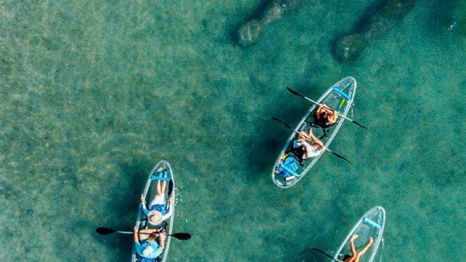 Clear Kayak Peanut Island Guided Tour Palm Beach Singer Island excursion
