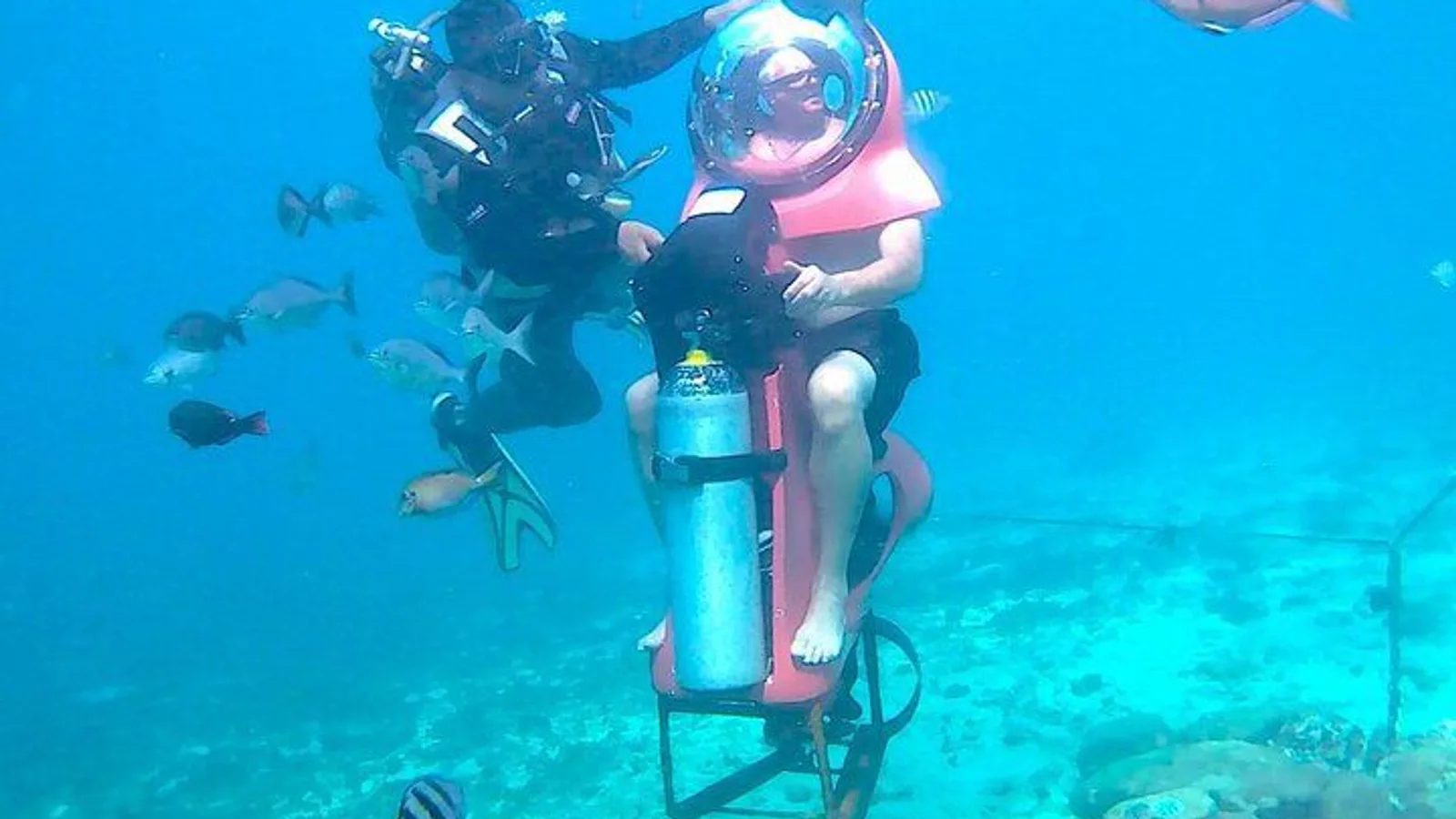 Cozumel Shore Excursion: Mini-SUB Diving Adventure excursion