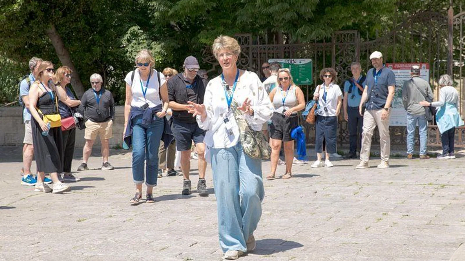 Enchanting Historical Walking Tour in Avignon excursion
