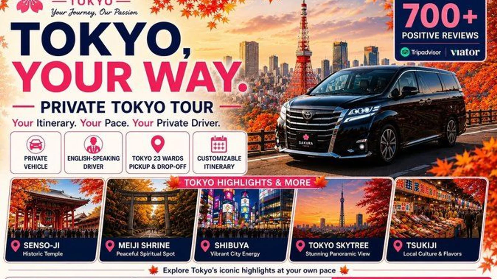Private and Customisable Tokyo Tour with English-Speaking Driver excursion