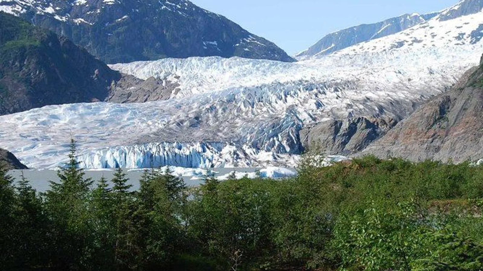 Mendenhall Glacier Trolley Tour excursion
