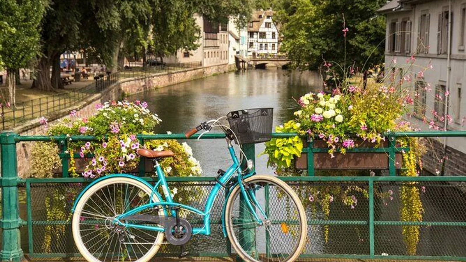 Strasbourg Bike Tour with a Guide excursion