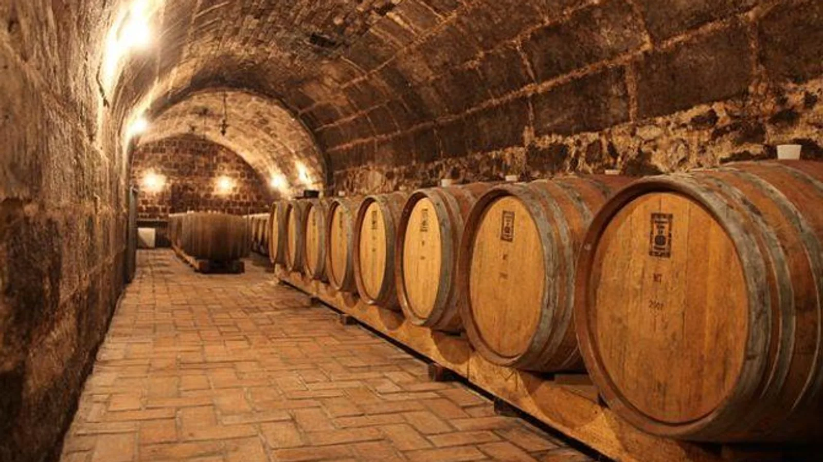 Countryside Half-day Gastro-Wine Tour from Budapest excursion