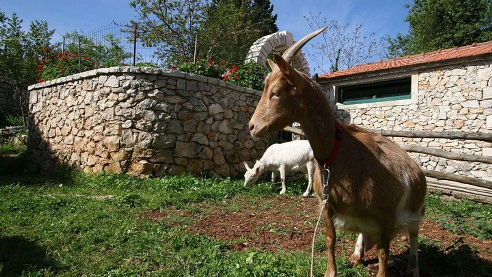 Korcula Island Mountain E Bike Private tour with lunch excursion