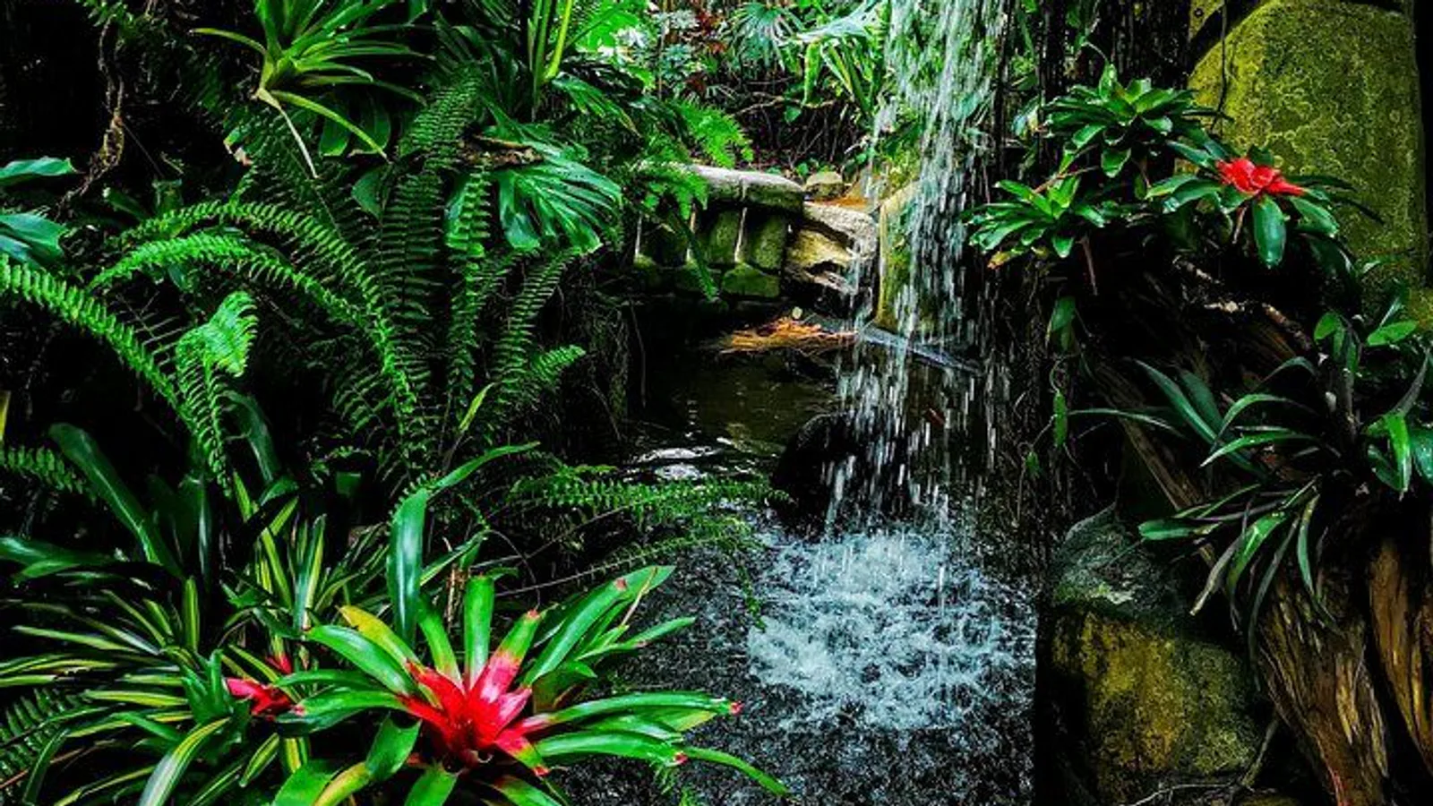Ultimate Group Package Tour of Victoria excursion