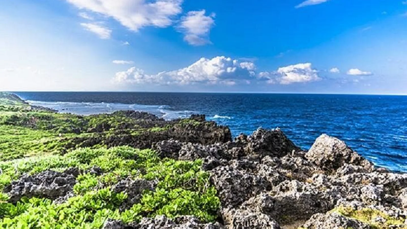 Okinawa Hip-Hop Bus C Course Tour to Northern Island excursion