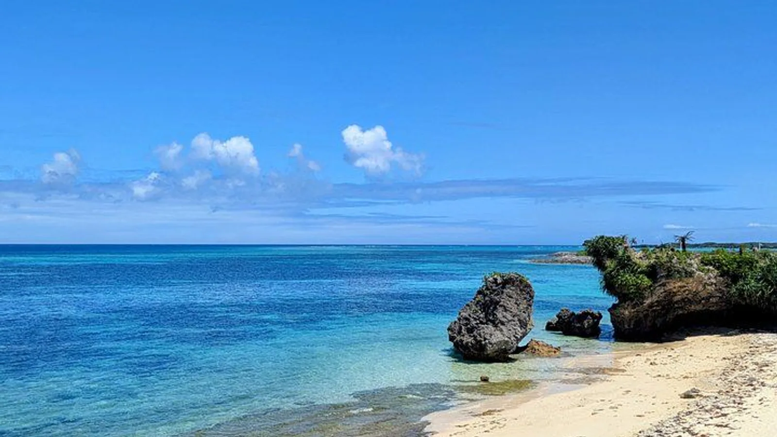 Northern Okinawa Private tour with licensed interpreter guide excursion